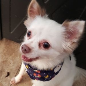 Meet your Posher, Mike